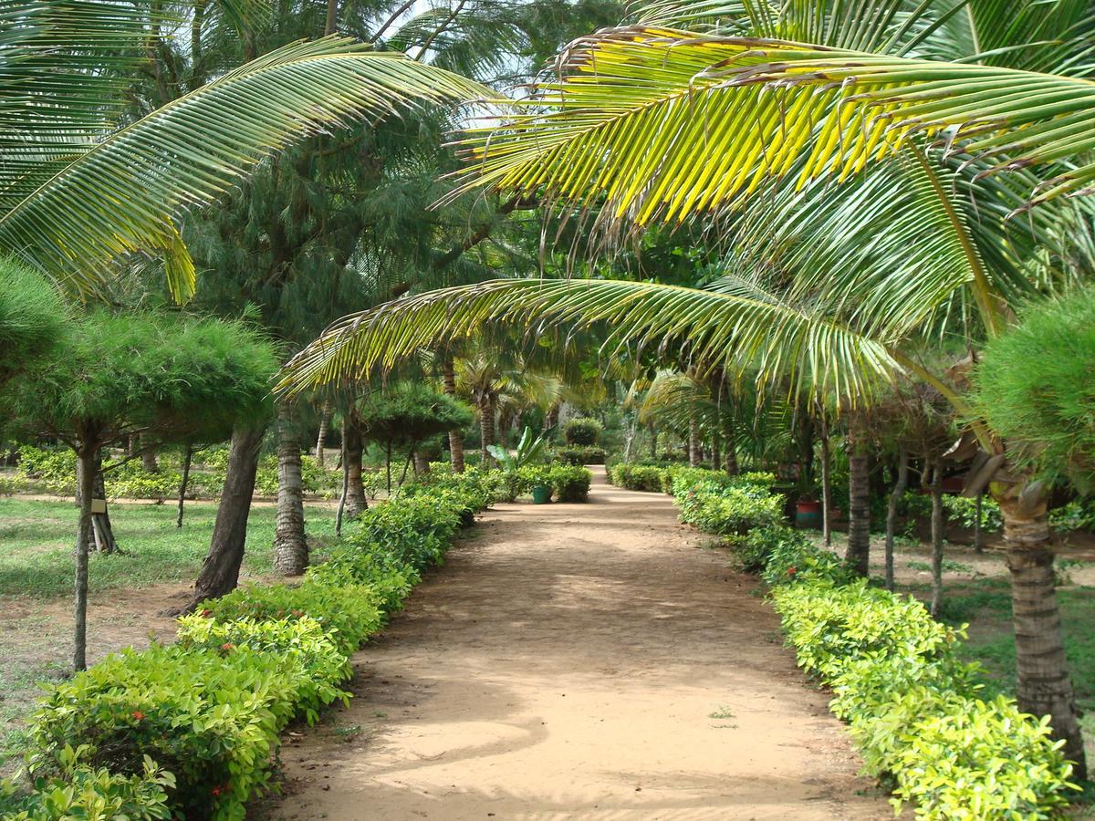 Hotel Village Vacances Awale Plage Grand-Popo Exterior photo